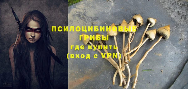 spice Строитель